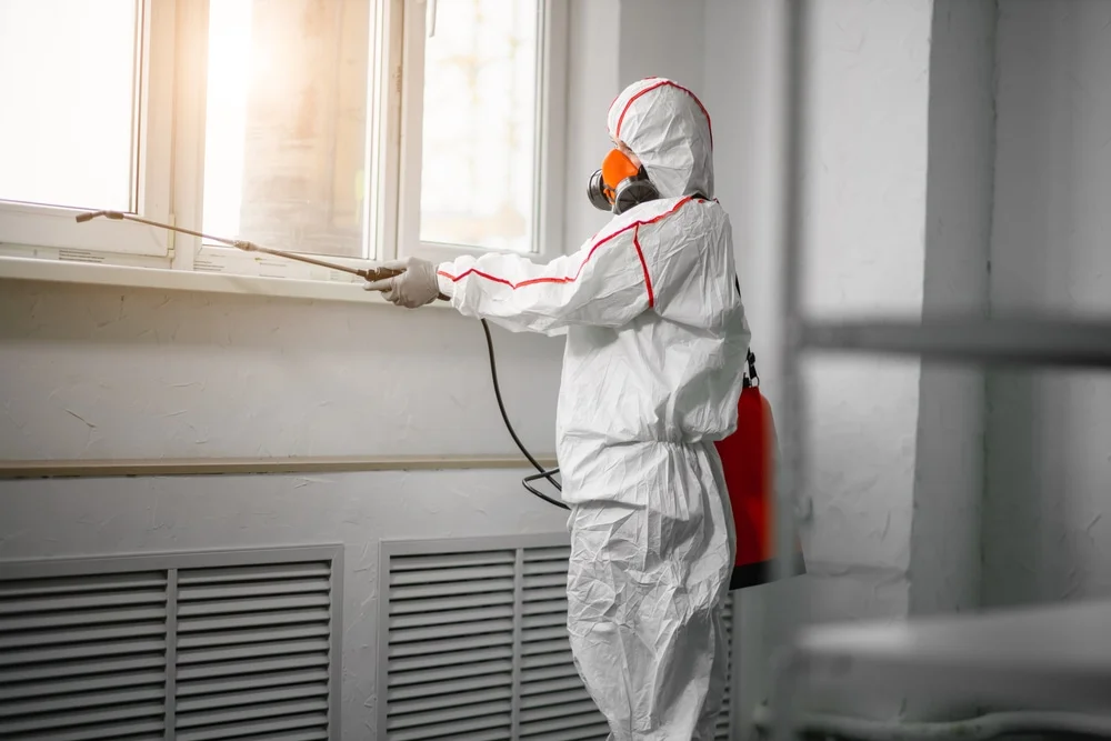 Professional mold remediation services in Madison, AR